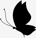 butterfly