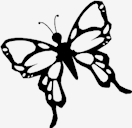 butterfly