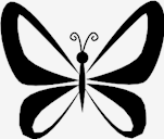 butterfly