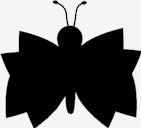 butterfly