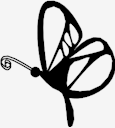 butterfly