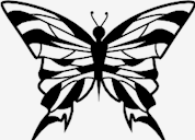 butterfly