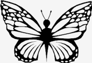 delicacy,Butterfly