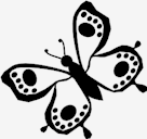 ornamented,Butterfly