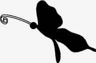 thin,Butterfly