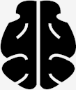 brain