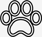 paw