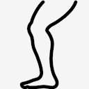 leg
