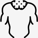 neck