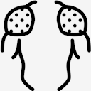 shoulders