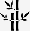 bamboo
