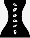 body