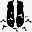 feet