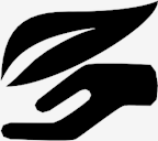 hand