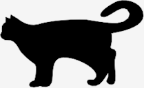 cat