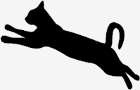 jumping
