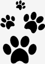 pets