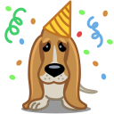 birthday,dog