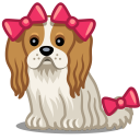 bows,dog