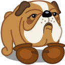 boxer,dog