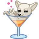 cocktail,dog