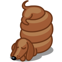 dachshund,dog
