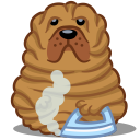 sharpei,dog