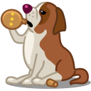 stbernard,dog