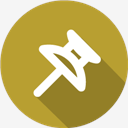 pin