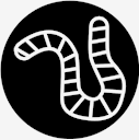 worm