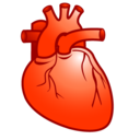 cardiology,heart