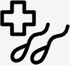 sperms