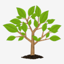 green,tree,environment