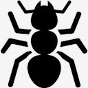 ant