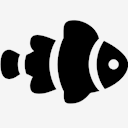 clown,fish