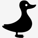 duck