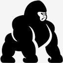gorilla