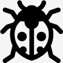 insect