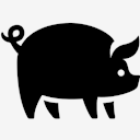 pig