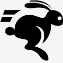 running,rabbit