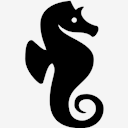 seahorse