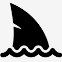 shark
