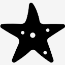 starfish