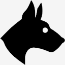 year,of,dog