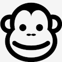 year,of,monkey