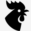year,of,rooster