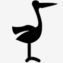 stork