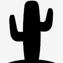 western