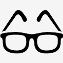 glasses