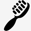 shoe,brush